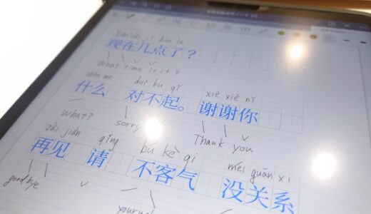 好きのついでに中国語学習！〜iPadのgoodnotesで使う「中国語写経ノート」作りました〜